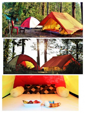 Aman camps